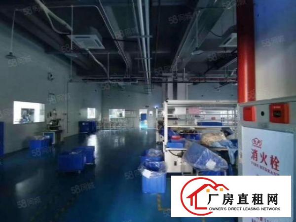  无尘车间可做医疗用品！现成风淋！独院6300平厂房出租可分租