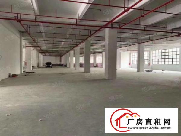  大宁原房东全新工业大厦招租，800平方以上起租