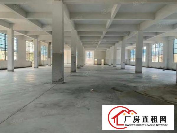  虎门镇南栅四区新兴路18号原房东独院厂房分租，实际面积！！