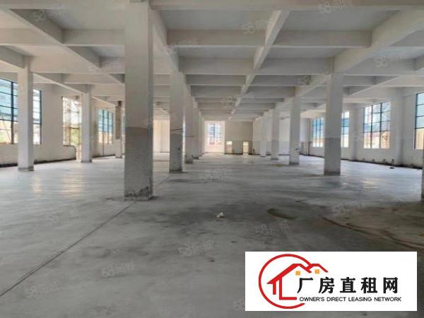  虎门镇南栅四区新兴路18号原房东独院厂房分租，实际面积！！