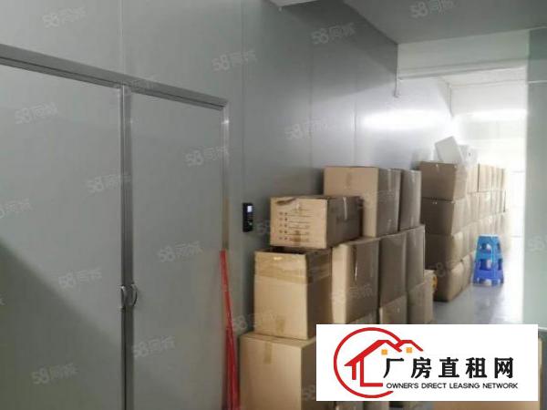 虎门楼上新出精装修600平水电到位厂房出租仓库出租