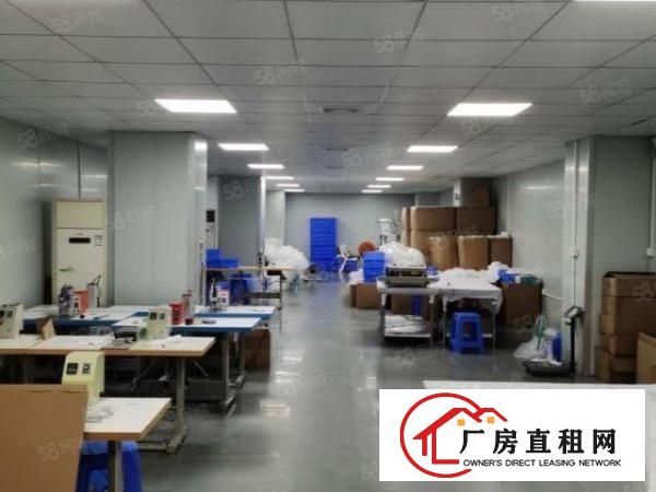  虎门楼上新出精装修600平水电到位厂房出租仓库出租