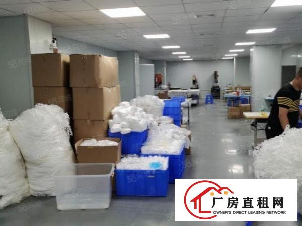 虎门楼上新出精装修600平水电到位厂房出租仓库出租