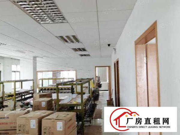  虎门楼上新出精装修600平水电到位厂房出租仓库出租