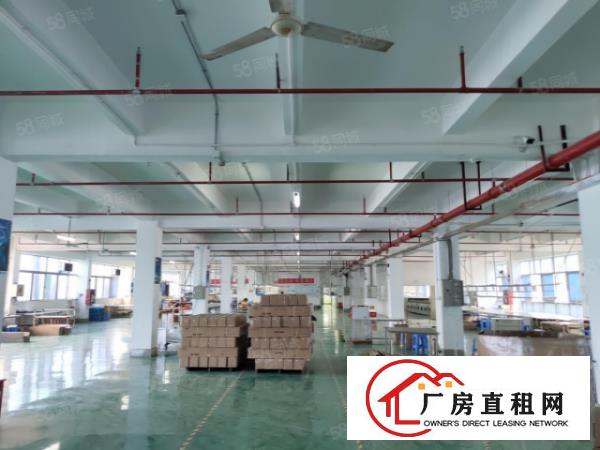  南栅房东独院厂房分层出租，一层1200方，可以分层出租
