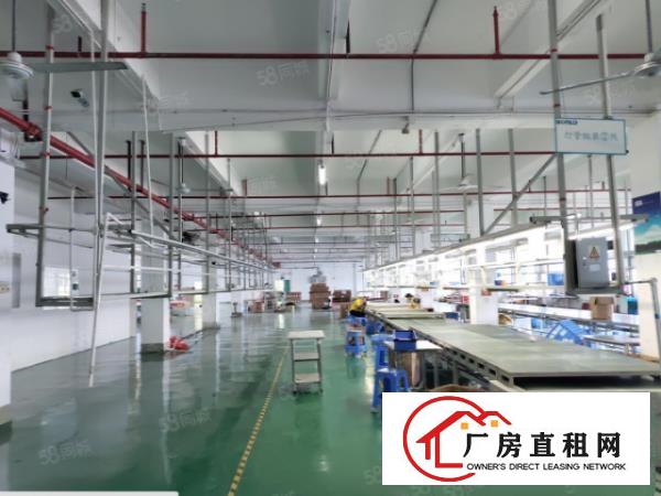  南栅房东独院厂房分层出租，一层1200方，可以分层出租