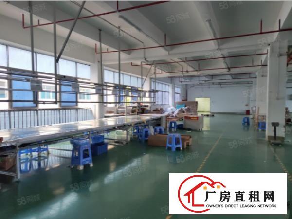  南栅房东独院厂房分层出租，一层1200方，可以分层出租