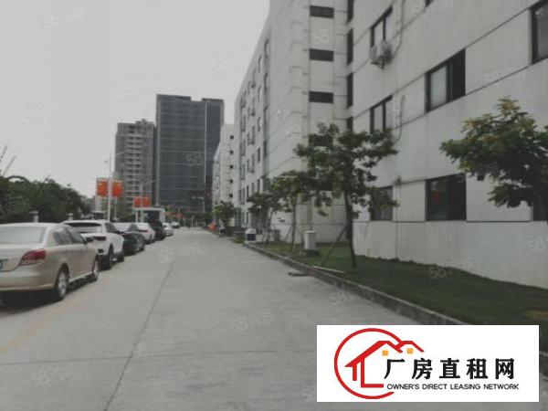  虎门自有红本一手房东上市公司形象厂房出租，实际面积，可以分租