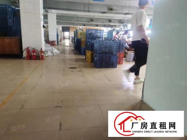  沿江高速出口新出三楼一整层2100方带精装修