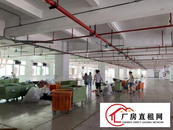  虎门大宁2800靠南部湾精装修13块实际面积厂房出租可分租