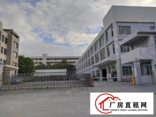  虎门南栅经典独院厂房出租面积3500方，形象好空地大可办环评