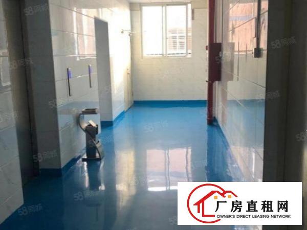  厂房形象非常好，基础设施完善，无尘车间，豪华装修，拎包即生产