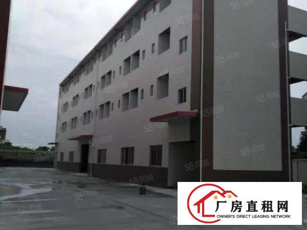  虎门新出单一层，1万平方厂房出租滴水8米。可以分租