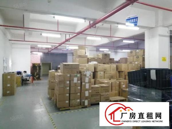  虎门岐居路一楼2000平起出租有红本带装修