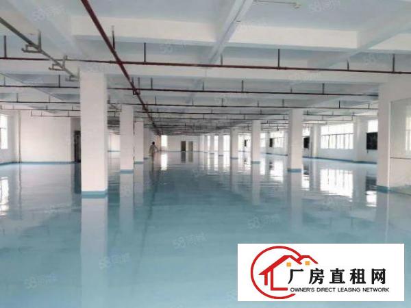  南栅本地房东厂房出租，产业园形象好，面积可以分组
