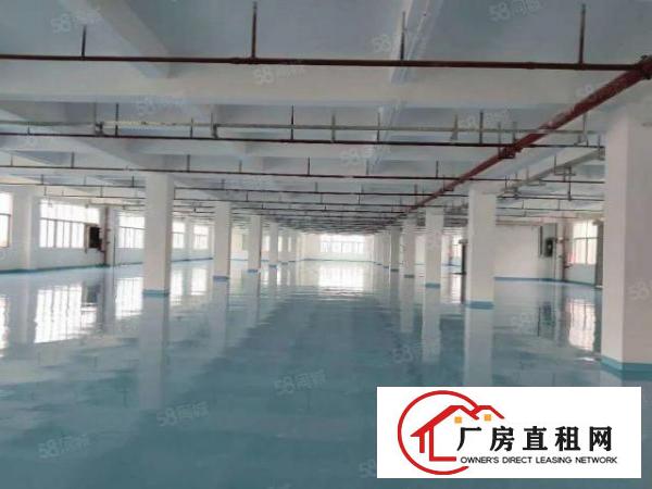  南栅本地房东厂房出租，产业园形象好，面积可以分组