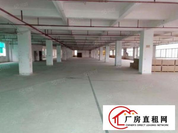  南栅本地房东厂房出租，产业园形象好，面积可以分组