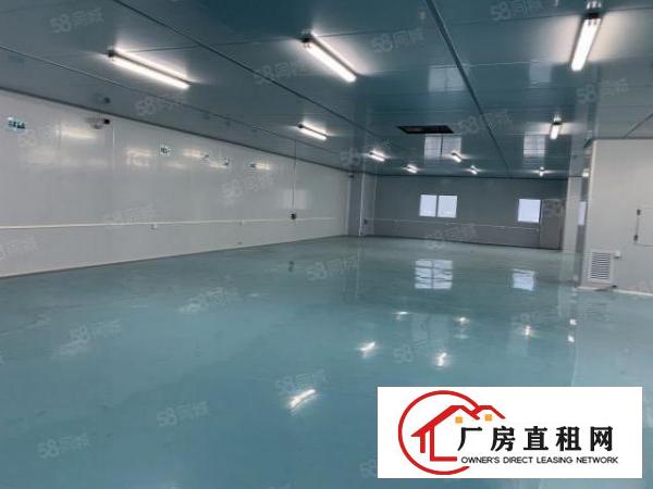  虎门厂房1500平无尘车间免费用！！无转让费！手快有
