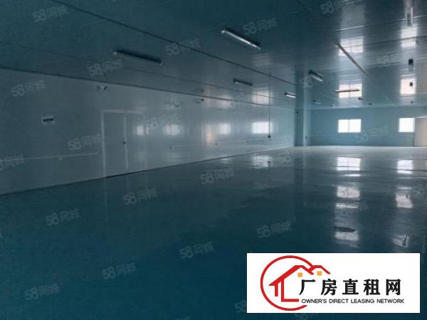  虎门厂房1500平无尘车间免费用！！无转让费！手快有