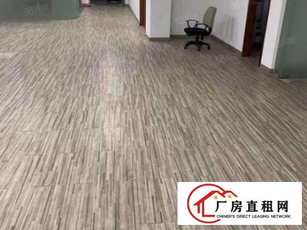  独院厂房！广深高速旁！4800平方独院标准厂房出租！可办环评