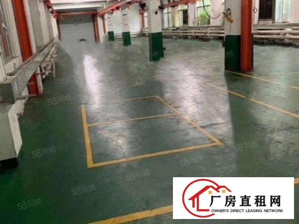  独院厂房！广深高速旁！4800平方独院标准厂房出租！可办环评