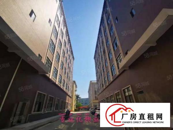  高大上园区新出楼上2190方园区配着篮球场宿舍