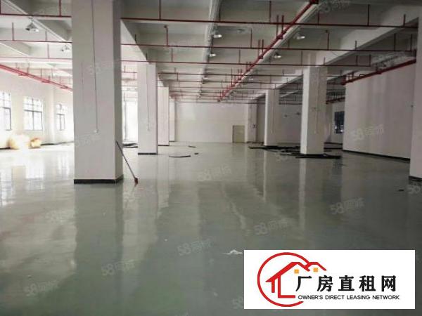  虎门原房东带红本标准独院厂房，整租优先，可以分租，位置优越