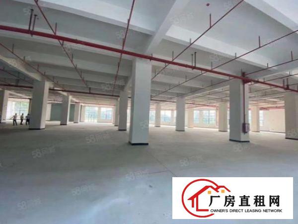 虎门原房东带红本标准独院厂房，整租优先，可以分租，位置优越