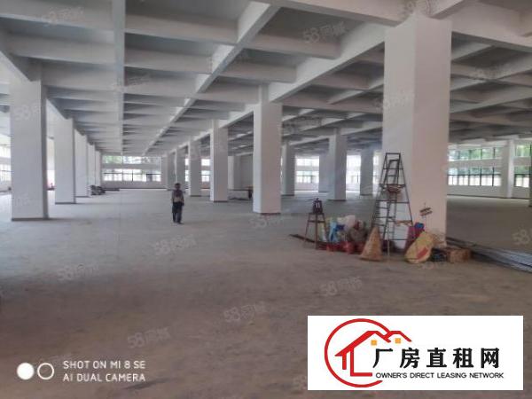  虎门北栅附近新建厂房直租
