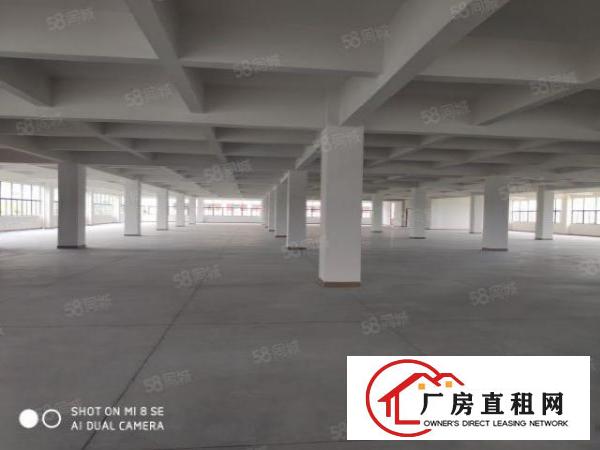  虎门北栅附近新建厂房直租