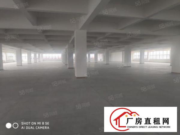  虎门北栅附近新建厂房直租
