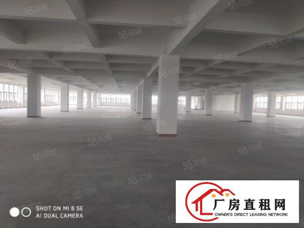  虎门北栅附近新建厂房直租
