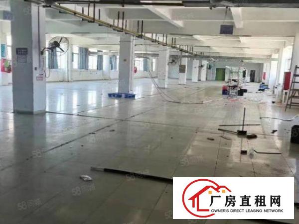  虎门怀德芦荻浦工业区新出原房东独院12500平出租，可办环评
