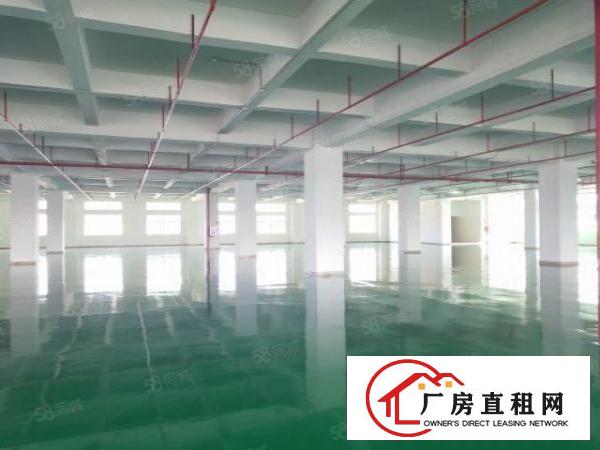  虎门高速出口附近工业区原房东独院厂房4000方，高6米带牛角