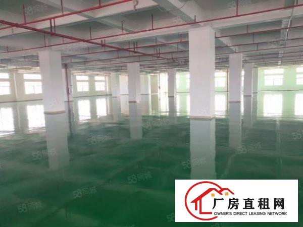  虎门高速出口附近工业区原房东独院厂房4000方，高6米带牛角