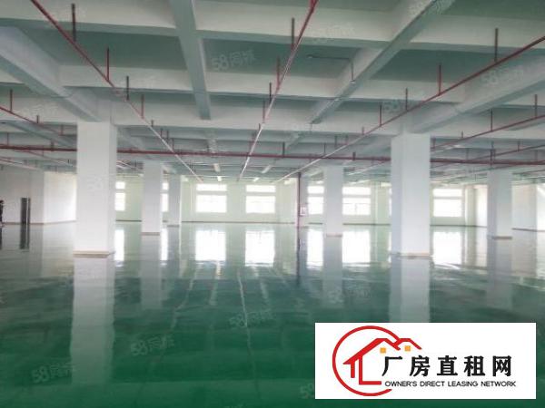  虎门高速出口附近工业区原房东独院厂房4000方，高6米带牛角