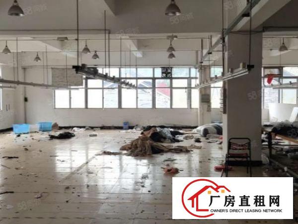  小捷滘原房东独门独院新空二三楼各1800平实际面积出租