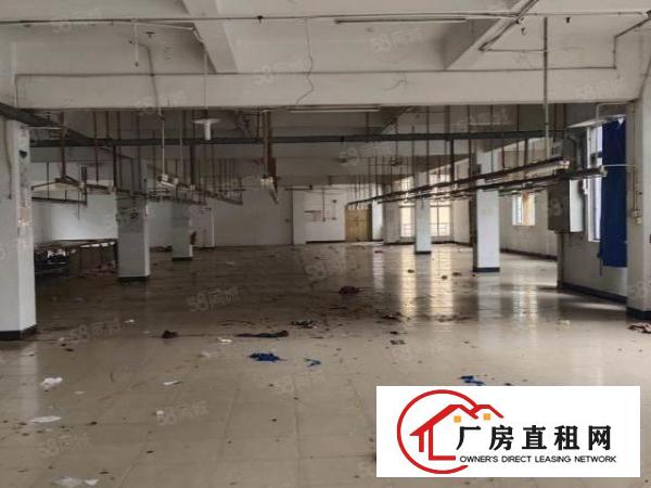  小捷滘原房东独门独院新空二三楼各1800平实际面积出租