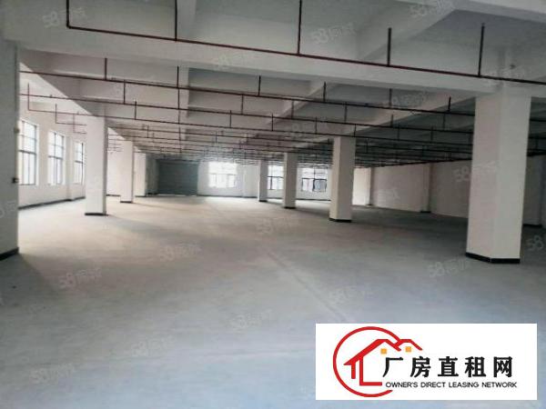  虎门4800平方花园式独院厂房出租，原房东厂房，条件可面谈