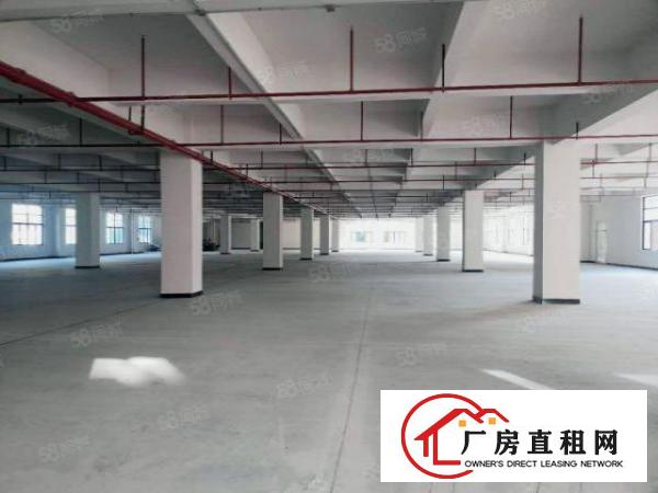  虎门4800平方花园式独院厂房出租，原房东厂房，条件可面谈
