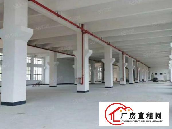  虎门4800平方花园式独院厂房出租，原房东厂房，条件可面谈