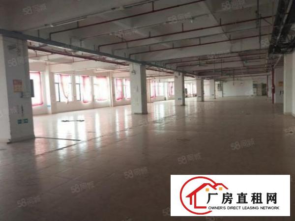  虎门沿江高速附近独院厂房4500方，形象好配套齐全易招工。