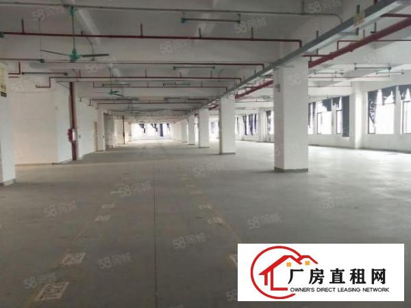  虎门沿江高速附近独院厂房4500方，形象好配套齐全易招工。