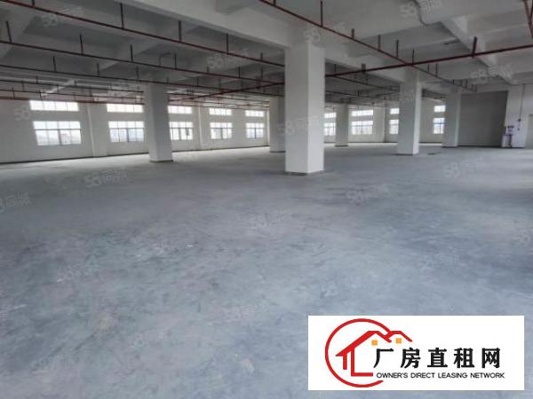  虎门358省道边上全新重工业厂房25000平出租大小可分