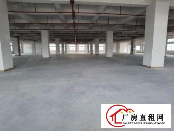  虎门358省道边上全新重工业厂房25000平出租大小可分