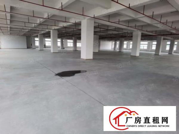  虎门358省道边上全新重工业厂房25000平出租大小可分
