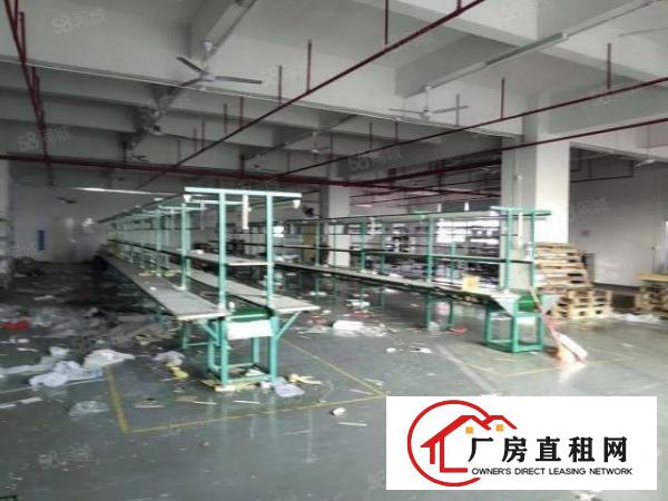  虎门南栅新出二楼1180平方带豪华精装修办公室水电齐全低价租