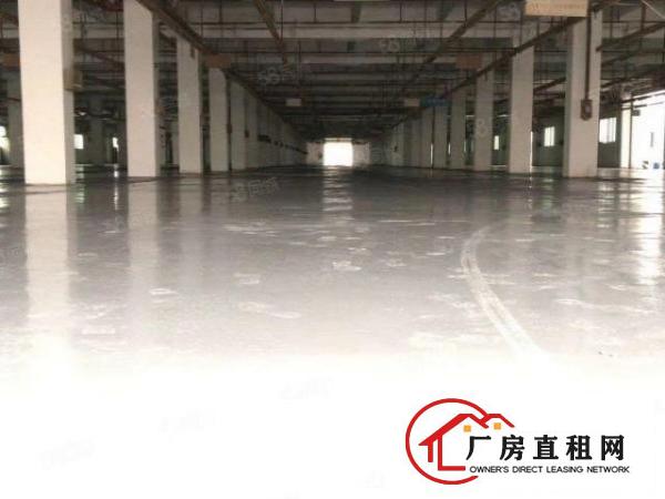  虎门大埔工业区原房东20000平五证齐全超亮厂房出租