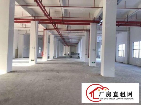  房东直租！大岭工业区1000平豪装独院厂房！整租分租都可以