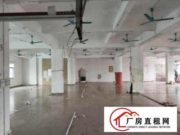  布料市场附近现成装修厂房急租！博美原房东厂房分租四楼650平